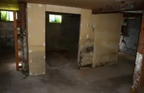 Moldy Room in Basement