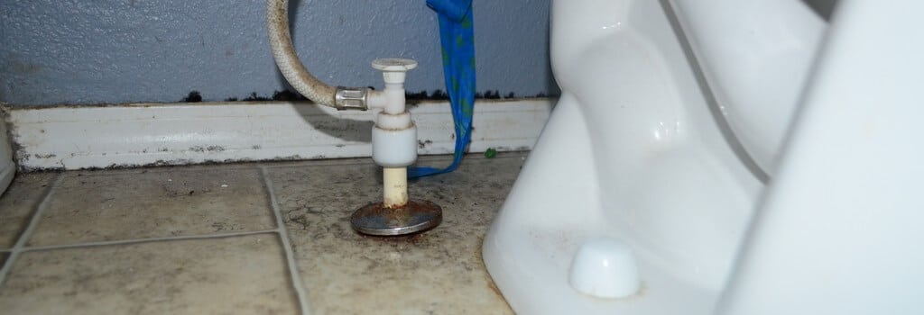 Bathroom Mold How To Identify And Get Rid Of In Environix - What Causes Black Mold In Bathroom Sink Drainage Pipe