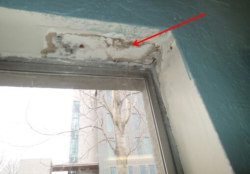 Mold and water damaged framing from roof leak