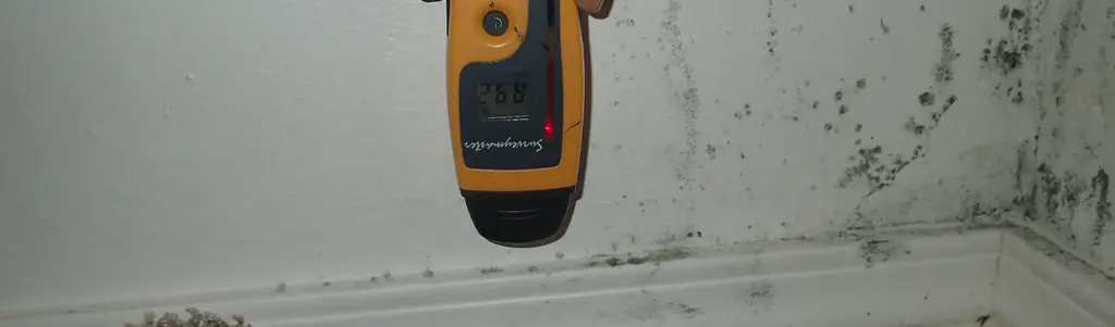 Mold caused by ground saturation