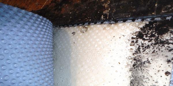 Prevent Mold Growth On Concrete, How To Prevent Mold On Basement Floor