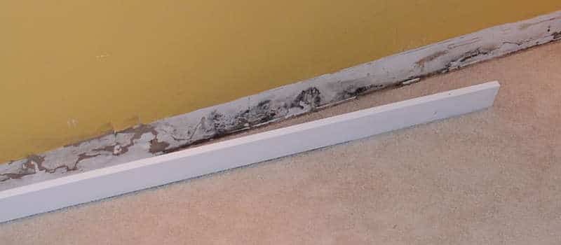 Mold from leak. 