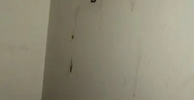 Mold or other substance on wall near ceiling. 