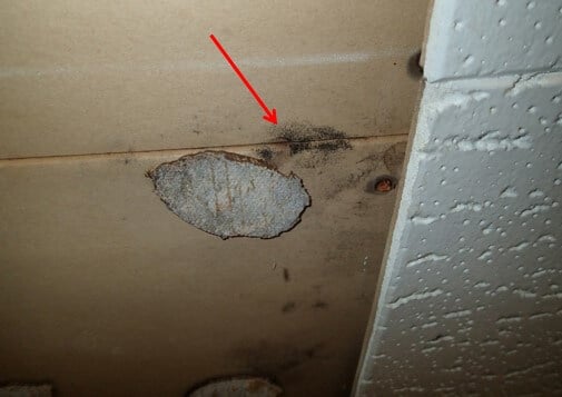 Mold found on sheetrock behind ceiling tiles