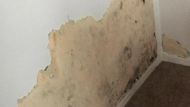 7 Investigates: Dangerous mold spreading through luxury apartments