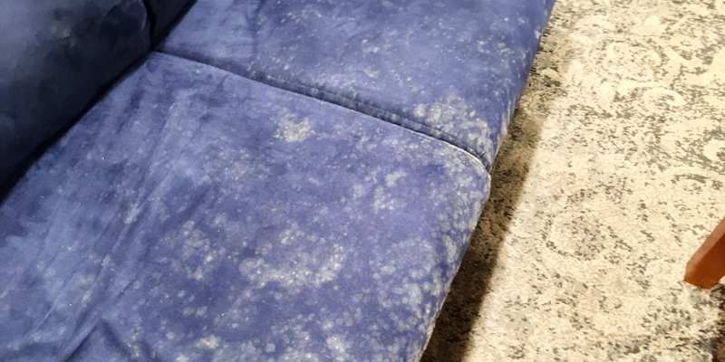 Mold On Furniture The Causes And, How To Get Mildew Out Of Fabric Furniture