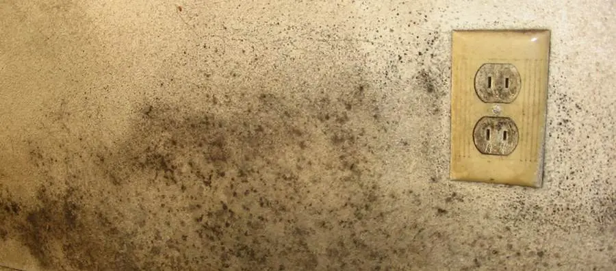 Mold growth from humidity