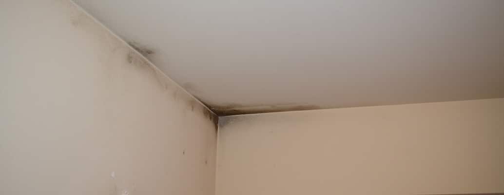 Mold in Bathroom