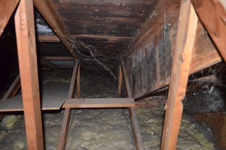 Mold in attic above soffit