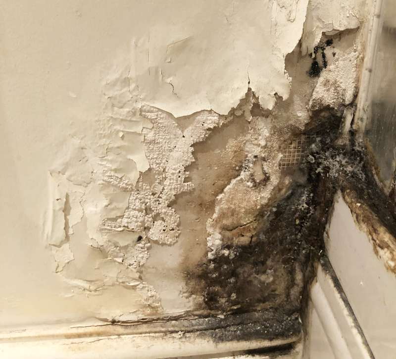 Mold next to shower door in bathroom.