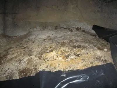 examples of mold in crawlspace