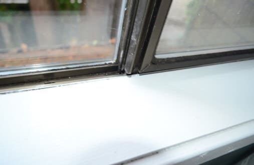 Light Mold on Window Frames
