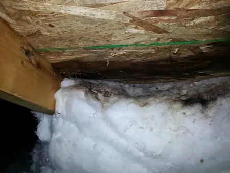 Mold on attic blocked soffit