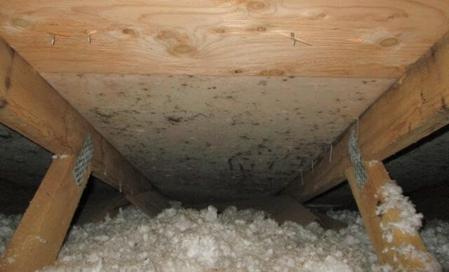 Mold On Attic Roof Sheathing What It Is And How To Remove