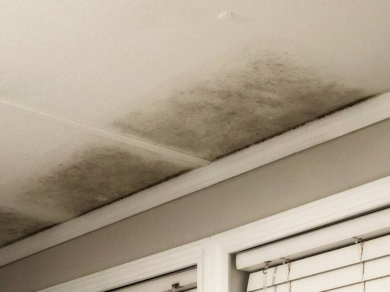 Mold on the ceiling from cold spots.
