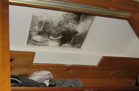 Mold on ceiling condensation_cr