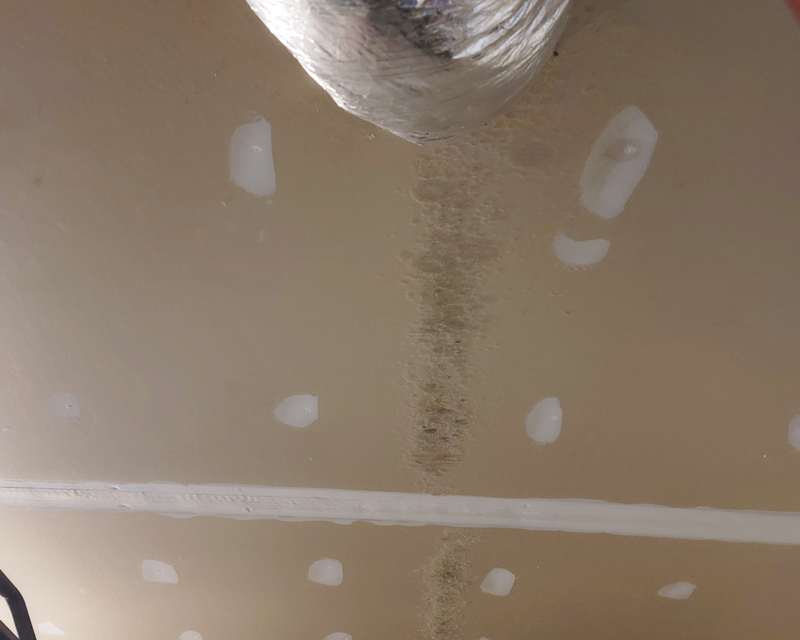 Mold growing in a line on the ceiling beneath ducting.