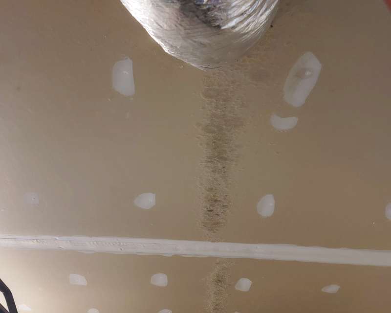 Ceiling Mold Growth Learn The Cause