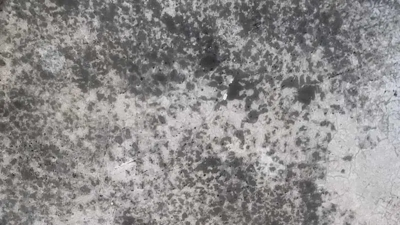 Mold on concrete in a garage. 