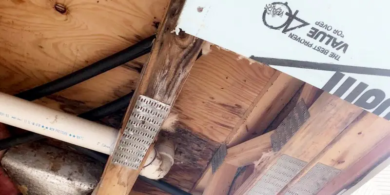 Mold on joists in the crawl space.