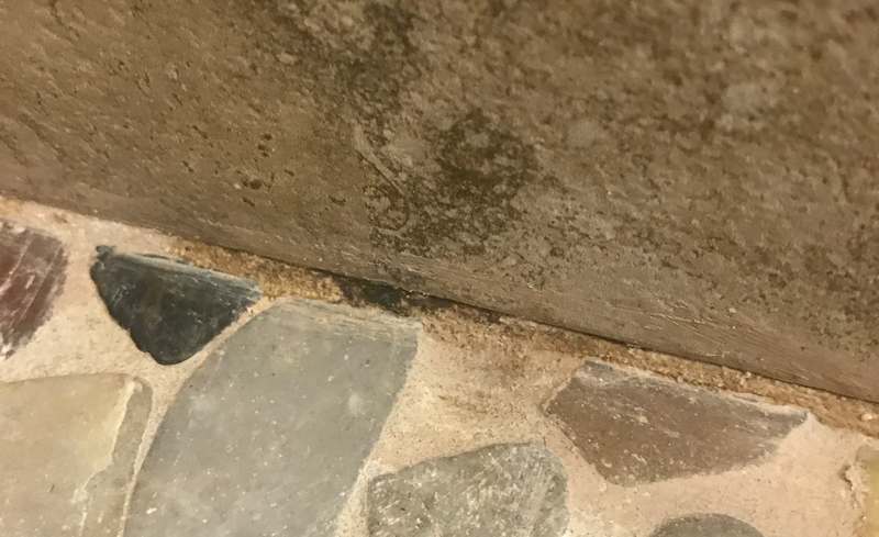 Mold growing on shower masonry.