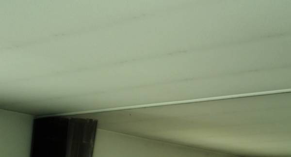 Ceiling Mold Growth Learn The Cause And How To Prevent It