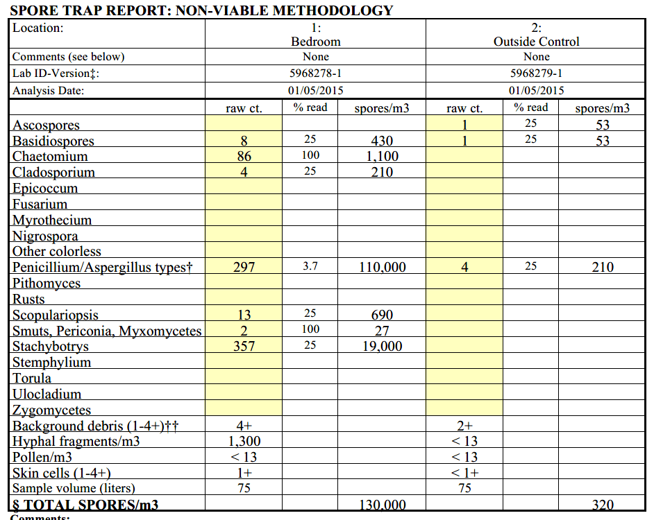 Example of mold testing report