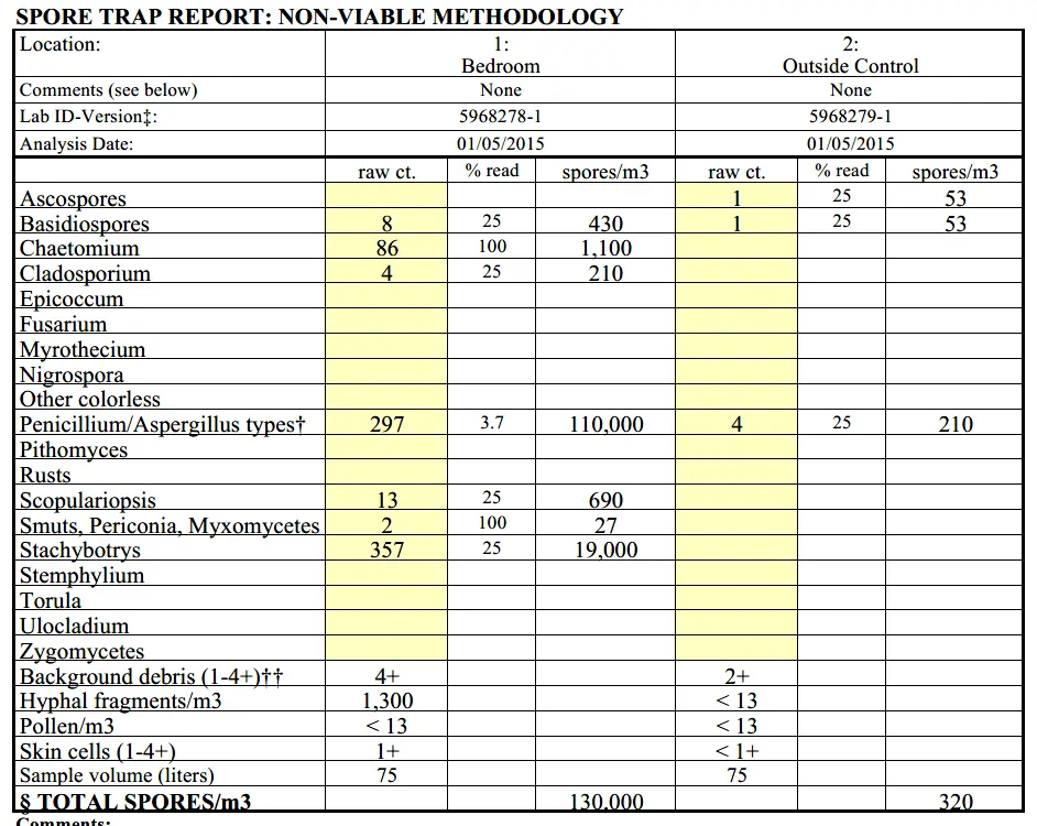 A Guide to Interpreting Mold Test Results - GreenWorks