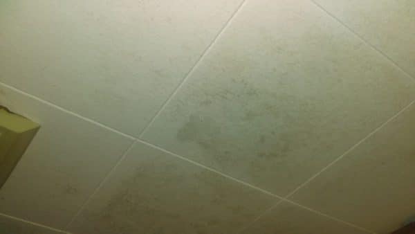 Moldy ceiling tile.