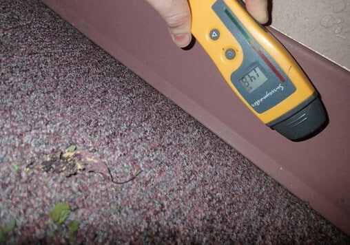 No elevated moisture detected in any building materials near back door