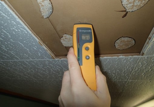 No moisture detected in sheetrock from roof leak