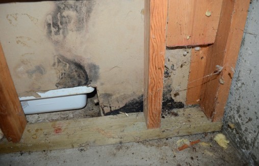 Old Water Damage & Mold