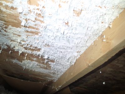 White mold growth on attic sheathing
