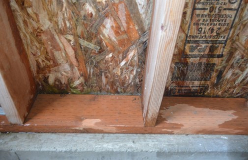 Beginnings Of Rot Noted In Isolated Places of OSB Wall Sheathing