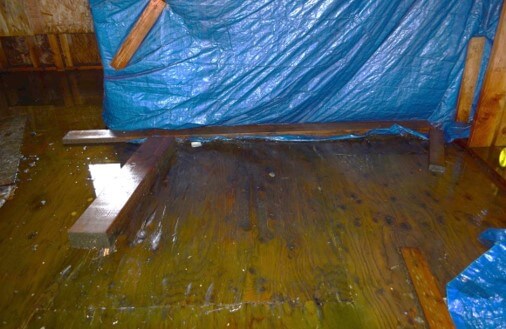 Warping Plywood Floors In Places