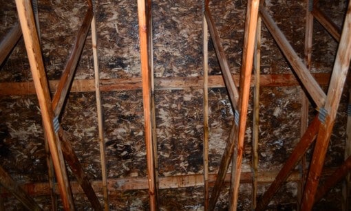 Roof Sheathing Is Damaged By Moisture & Should Be Replaced