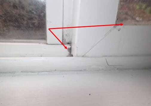 Mold observed on window framing in addition living room