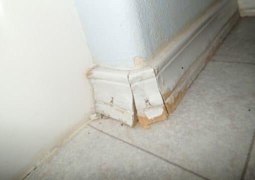 Water damaged trim near tub in hall bathroom