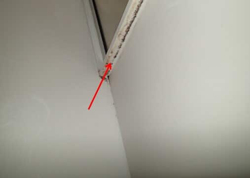 Mold noted on fiberglass shower surround