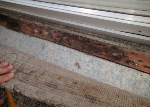 Mold on tack strip from water intrusion at back door