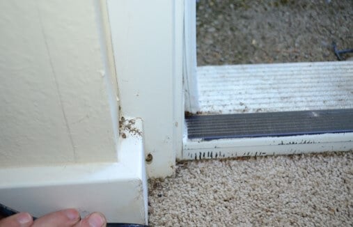 Gap Under Door Threshold May Be Reason For Insects Inside