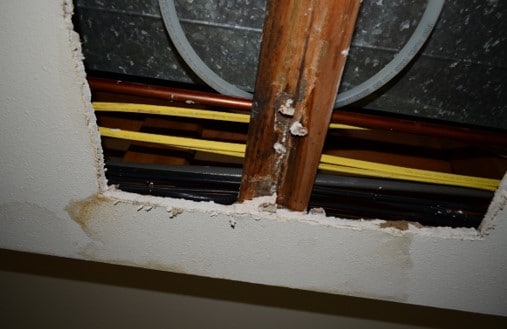 No Significant Mold or Moisture Remaining