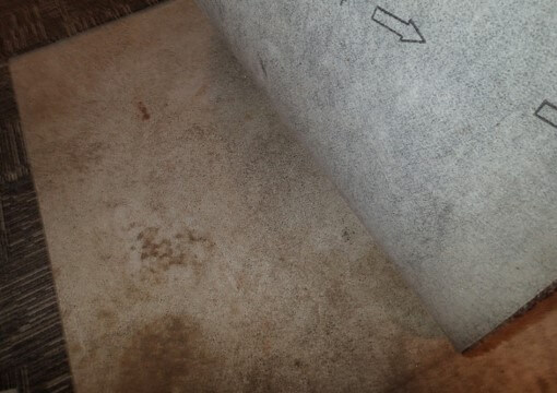 Slight musty odor underneath carpet tiles 