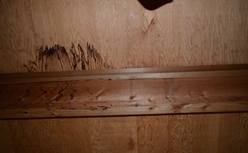 Water Stains on Ceiling of Master Bedroom