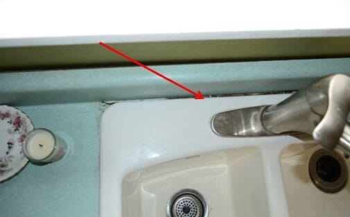 Mold and Organic Debris Build-Up Behind Sink