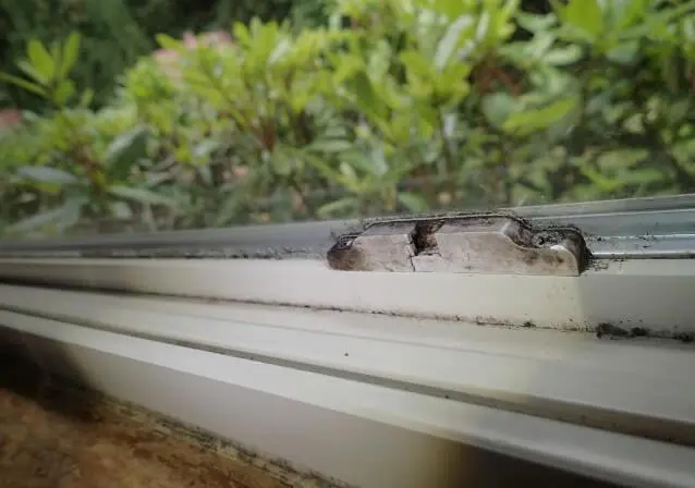 Mold growth around bedroom windows