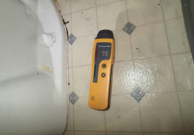 Wet subfloor around hall bath toilet indicating toilet seal lea