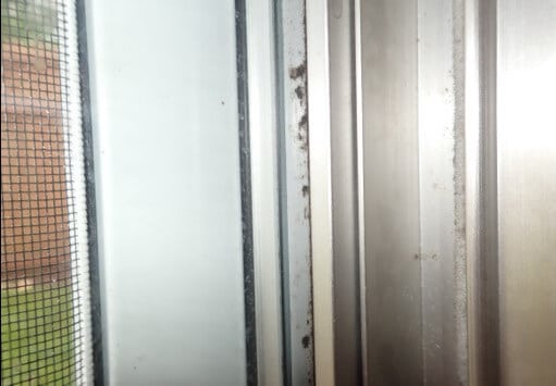 Mold growth on slider door in master bedroom.