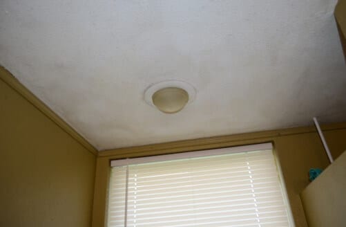 Light to Moderate Mold Reoccurs on Bathroom Ceiling