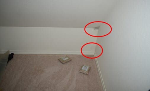 Mold Growth / Staining on Exterior Corner